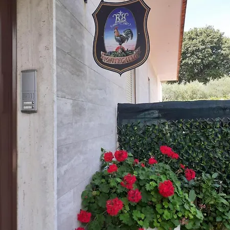 Montegallo Osimo